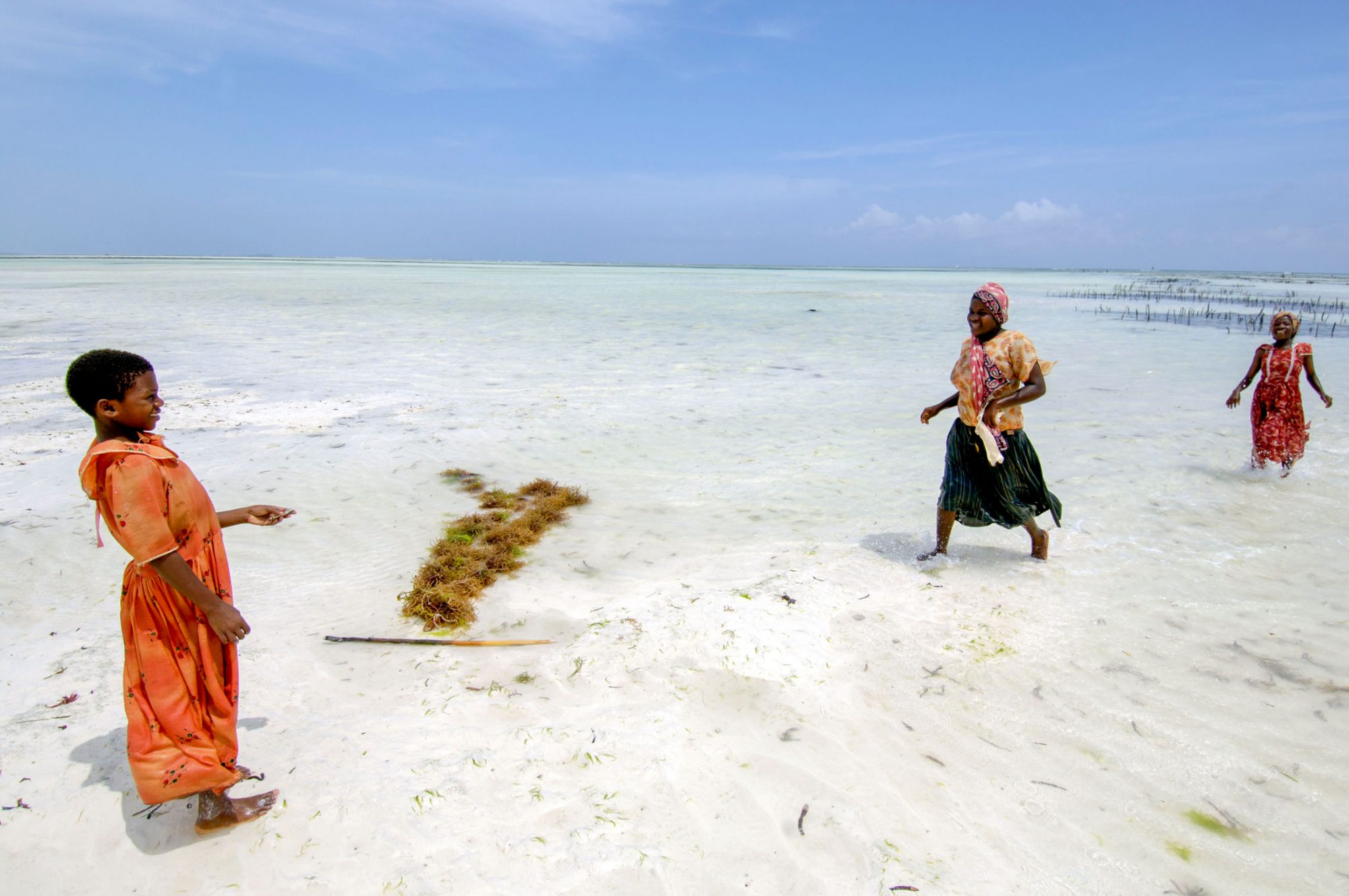 Sansibar - Strand in der Nähe des Ocean Paradise Hotels, an der Nord Ost Kueste der Insel